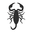 Scorpion control services with Rentokil in Las Vegas and Henderson NV